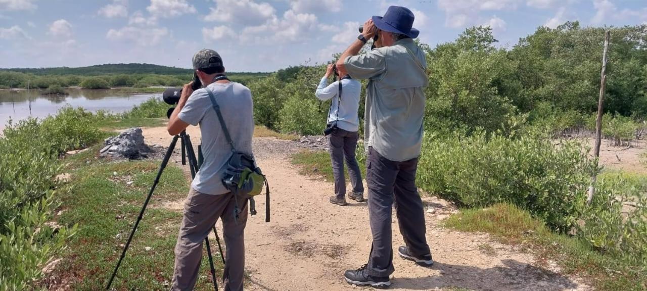 Casa Jade Ecobungalows Las Coloradas Yuluc Eksteriør bilde