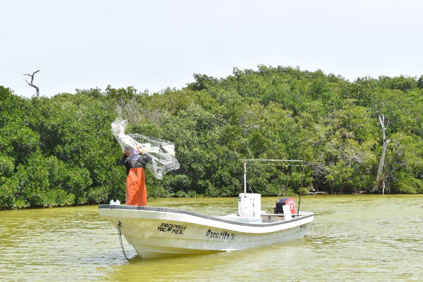 Casa Jade Ecobungalows Las Coloradas Yuluc Eksteriør bilde
